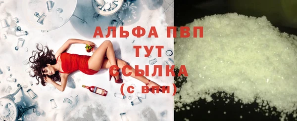 индика Киренск