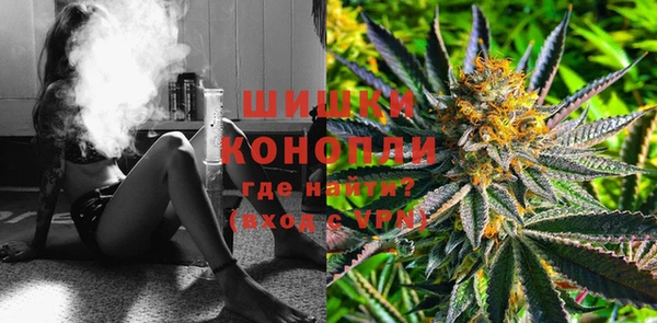 шишки Кинешма