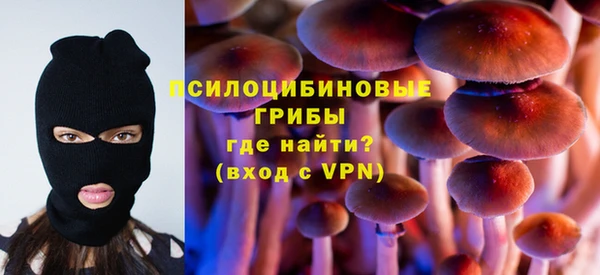 шишки Кинешма