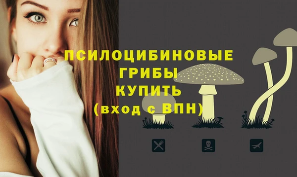 индика Киренск