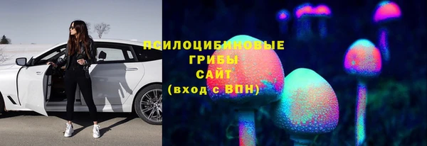 индика Киренск