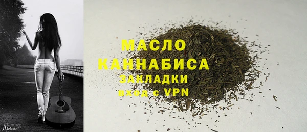 индика Киренск
