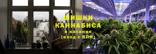 индика Киренск