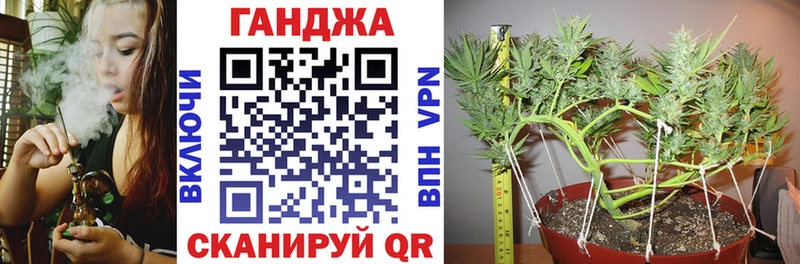 Конопля марихуана  Купить где  Терек 